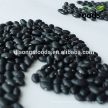 Japanese Black Beans for healthy soya bean meal